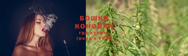 СК Протвино