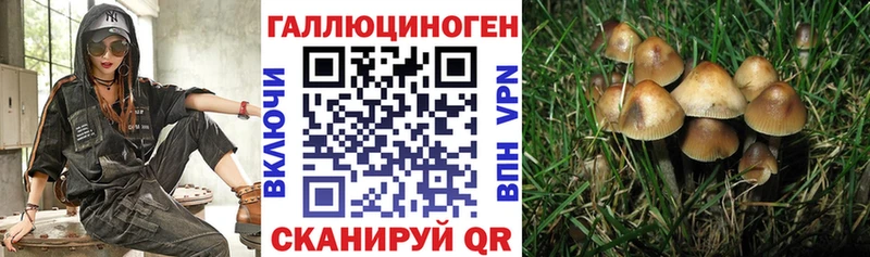 Псилоцибиновые грибы прущие грибы  Находка 