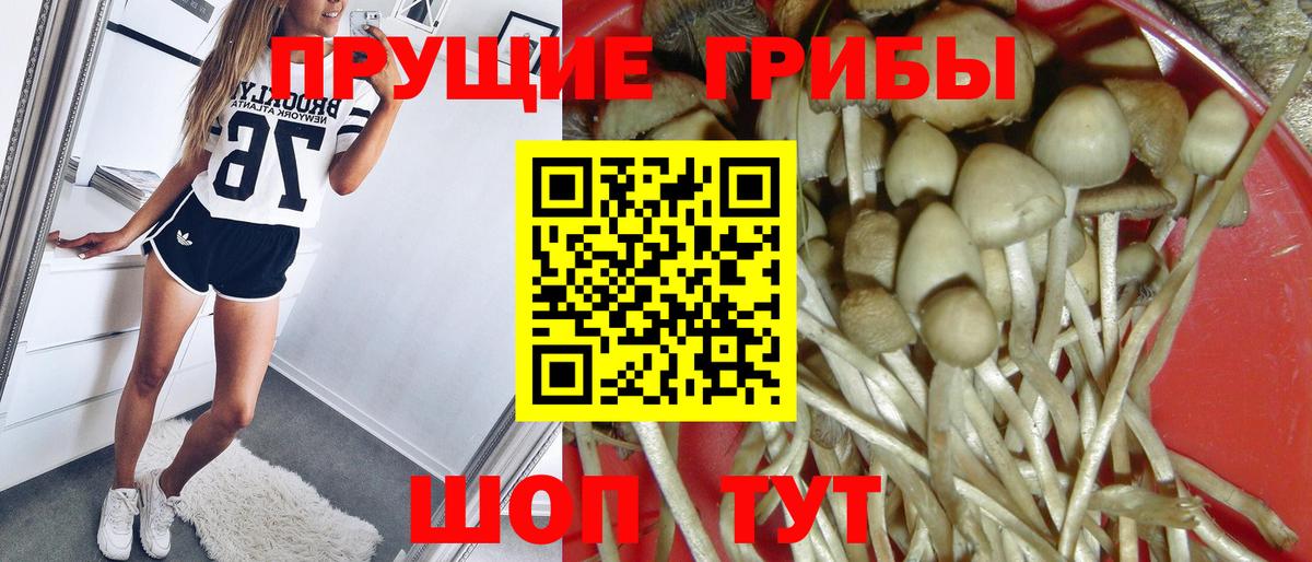 Псилоцибиновые грибы мицелий Находка
