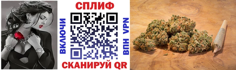 Бошки марихуана план  закладка  Находка 